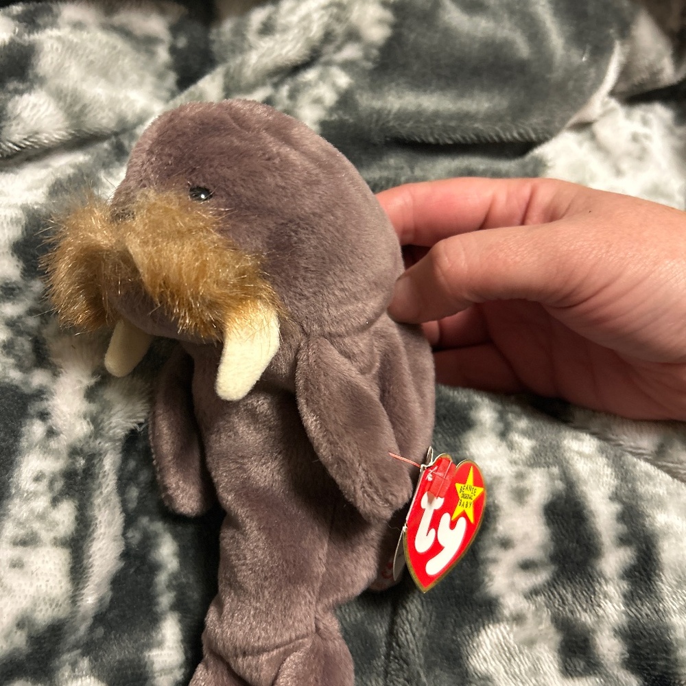 Jolly the Walrus